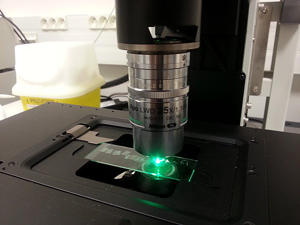 confocal microscope in action